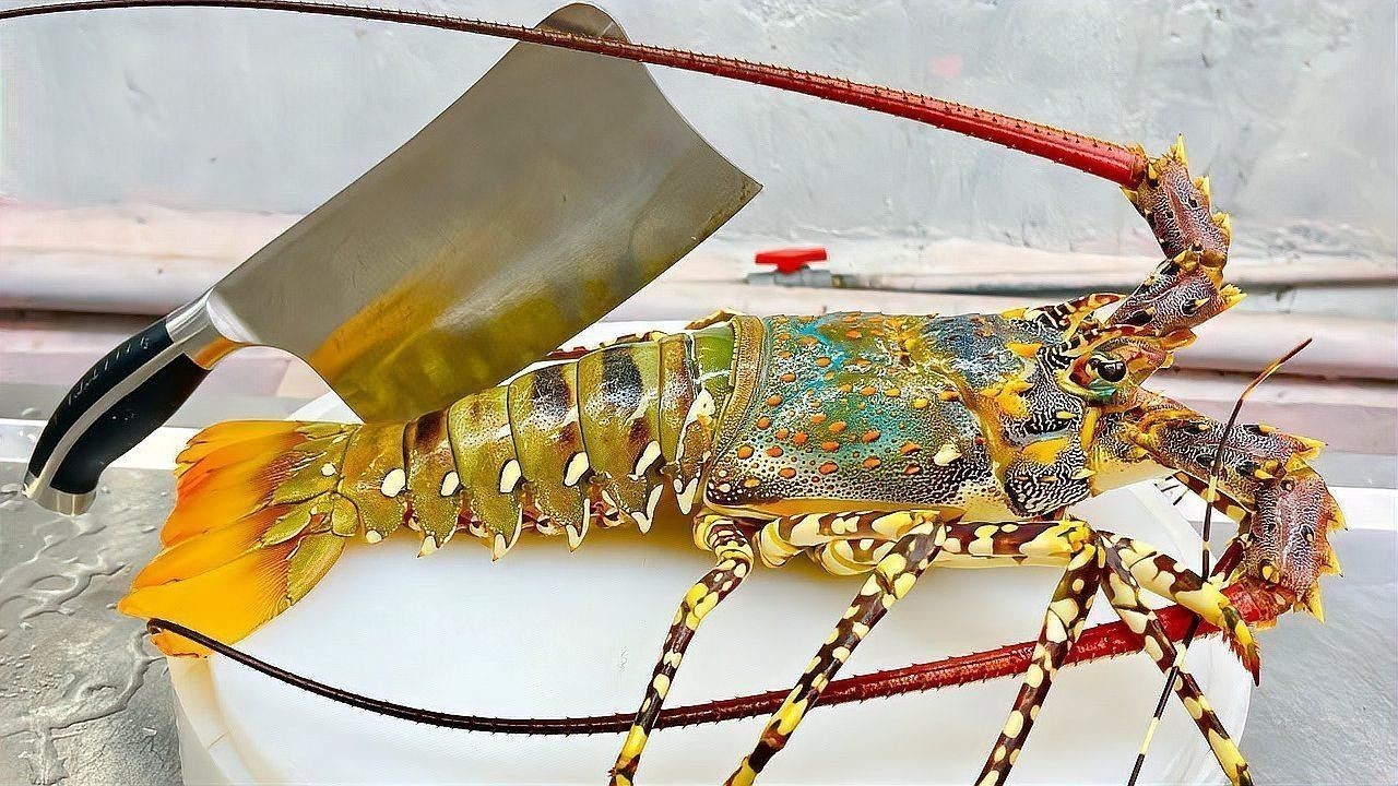 有沒有更多高清大龍蝦圖片？