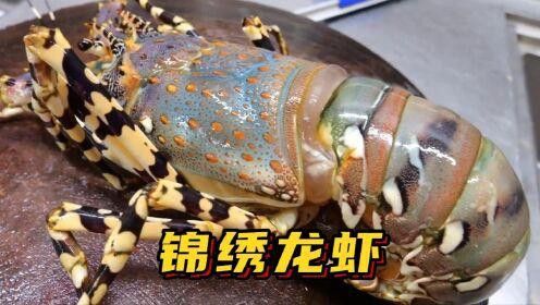 有沒有更多高清大龍蝦圖片？