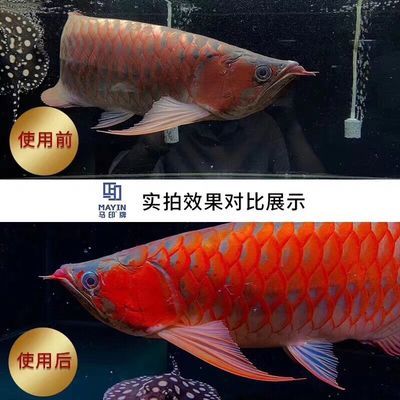 龍魚增色燈，龍魚增色燈的選擇與使用