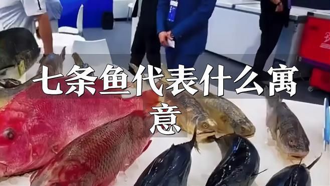 龍魚風水魚缸 七條魚好嗎