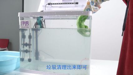 龍魚魚缸怎么清理魚糞便：在清理龍魚魚缸的魚糞便時，可以采取以下幾種方法