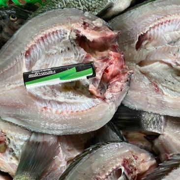 羅非魚批發價多少錢一斤