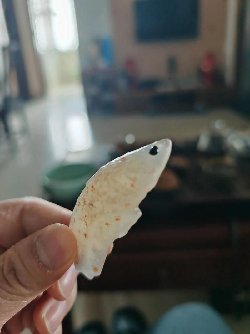 河北小伙吃金龍魚圖片 河北小伙吃金龍魚圖片 龍魚百科 第25張