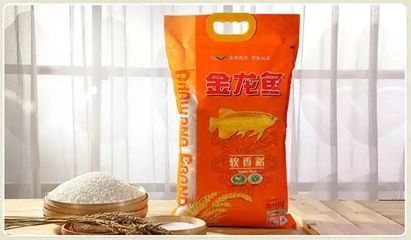 金龍魚 淮安代理【如何成為金龍魚淮安代理】