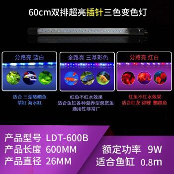 品牌龍魚(yú)缸排名前十位：龍魚(yú)缸品牌排名