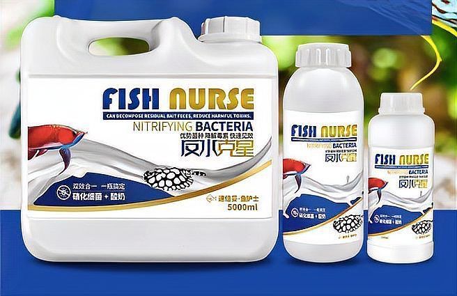 龍魚用品速倍妥牌子還是英牌好