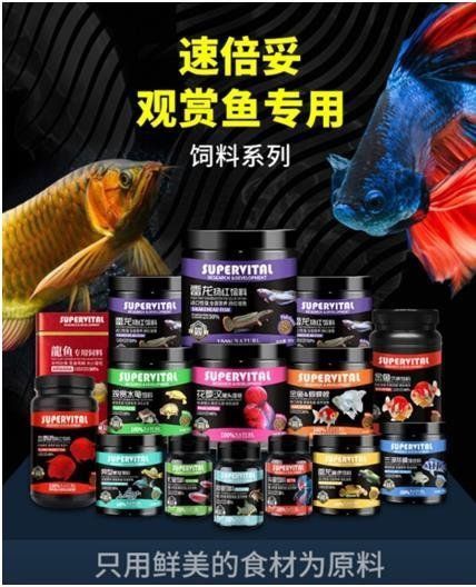 龍魚用品速倍妥牌子還是英牌好