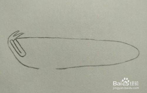 金龍魚該怎么畫好看（國畫金龍魚步驟詳解）