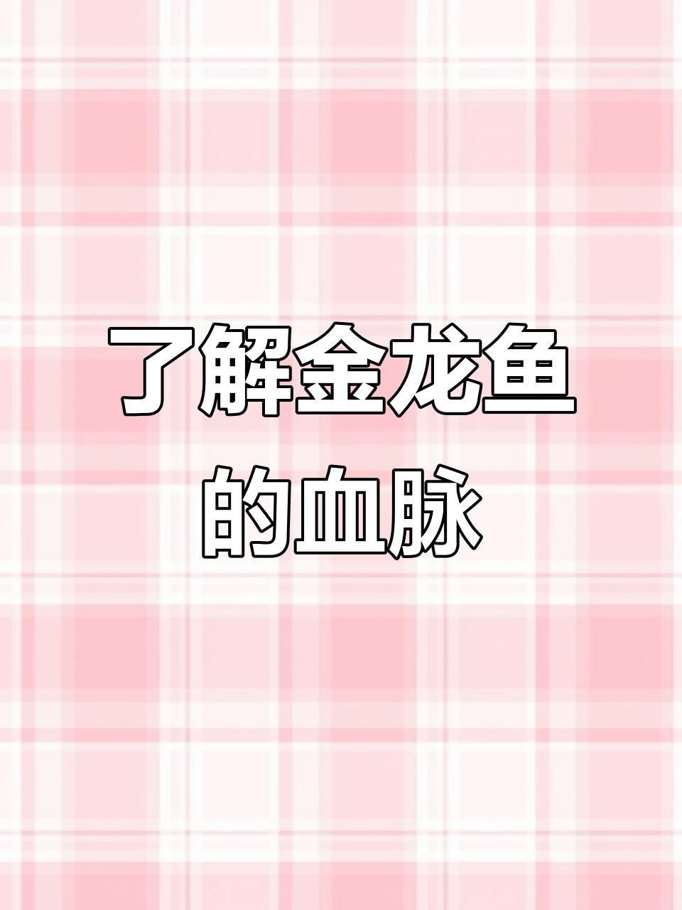 金龍魚的品種分類