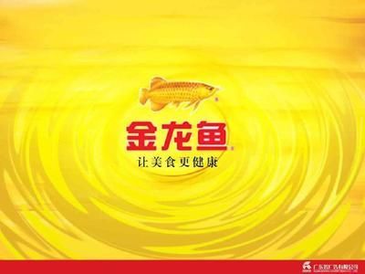 金龍魚什么牌子好吃：金龍魚品牌怎么樣