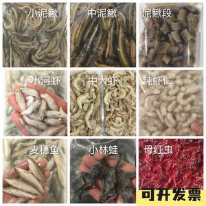 龍魚的嘴撞傷了會怎么樣：龍魚吃蝦好還是吃蝦好，怎么正確喂養(yǎng)龍魚