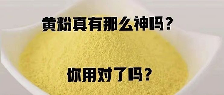 龍魚可以用黃粉嗎：關于龍魚使用黃粉及其使用細節(jié)的詳細信息和注意事項