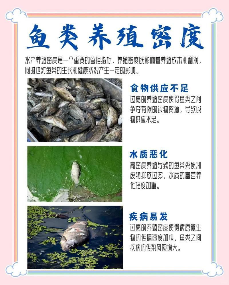龍魚數量調整后多久見效？