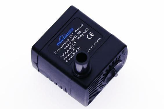 紅龍魚喂什么上色快一點好看（紅龍魚喂什么上色快一點好看呢）