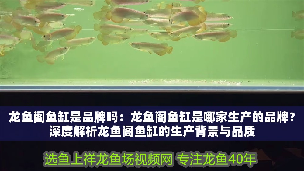 龍魚閣魚缸是品牌嗎：龍魚閣魚缸是哪家生產(chǎn)的品牌？深度解析龍魚閣魚缸的生產(chǎn)背景與品質(zhì)
