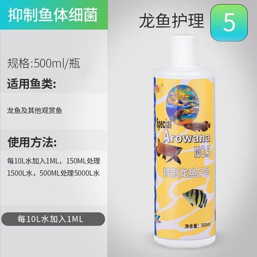 仟湖的龍魚怎么樣