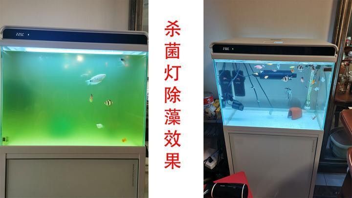 龍魚殺菌燈開多長時間