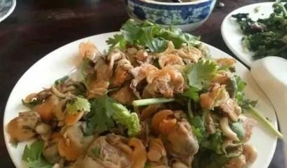 龍魚可以吃蝦仁嗎（龍魚可以吃蝦仁嗎？龍魚吃蝦仁的注意事項）