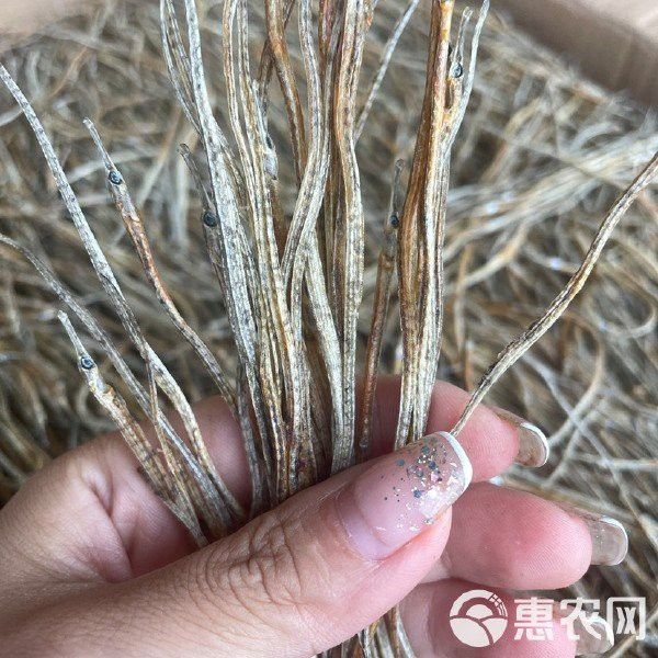 海龍魚一斤多少 海龍魚一斤多少 龍魚百科 第3張