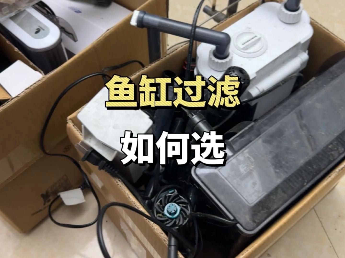 魚缸的過濾系統如何選擇