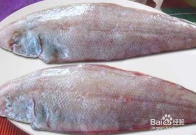 龍魚是海魚嗎：龍魚不是海魚，而是淡水魚