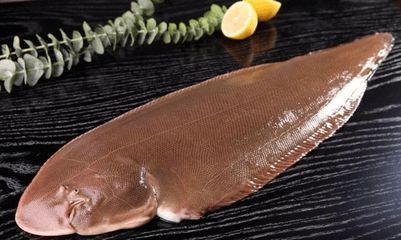 龍魚是海魚嗎：龍魚不是海魚，而是淡水魚