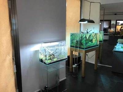 水族館加盟找祥龍魚場多少錢一個(gè)月（水族館加盟費(fèi)是多少）