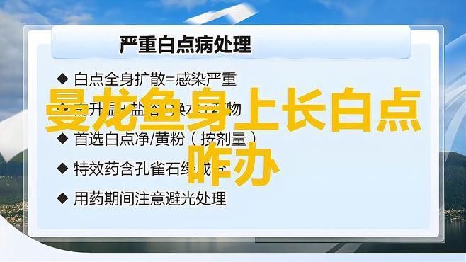 龍魚身上有白點怎么治