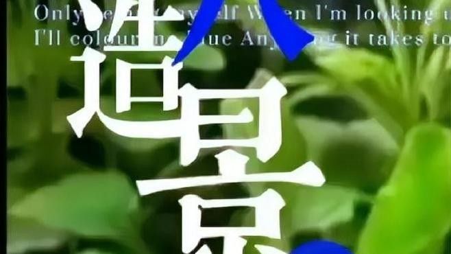 黃金眼鏡蛇雷龍魚(yú)怎么養(yǎng)