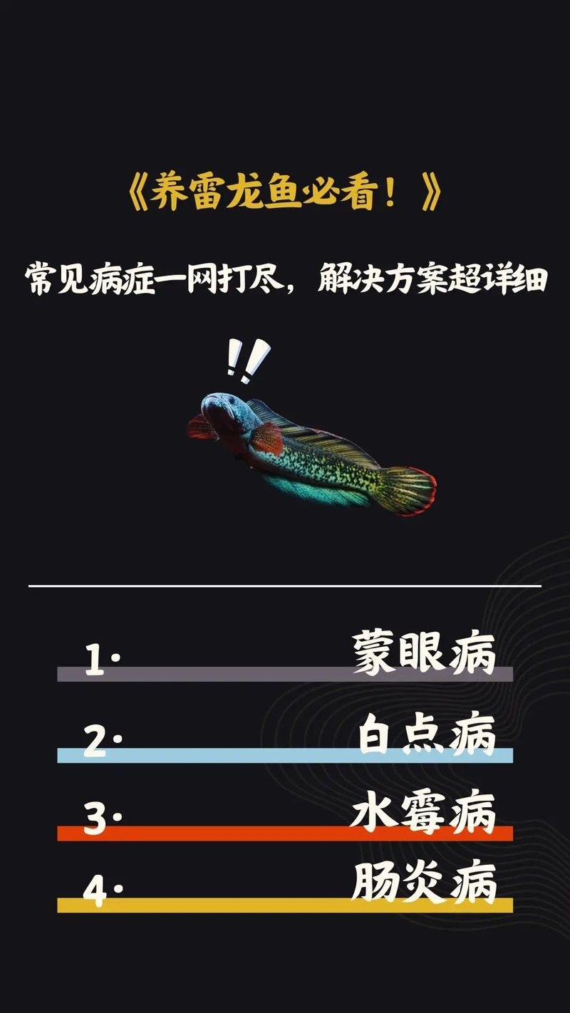 黃金眼鏡蛇雷龍魚(yú)怎么養(yǎng)
