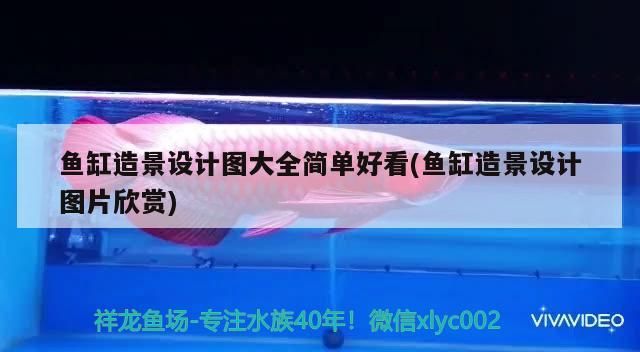 魚缸造景設(shè)計(jì)圖大全簡單好看(魚缸造景設(shè)計(jì)圖片欣賞)