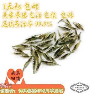 龍魚吃金魚飼料嗎會(huì)死嗎：龍魚吃金魚飼料會(huì)死亡嗎