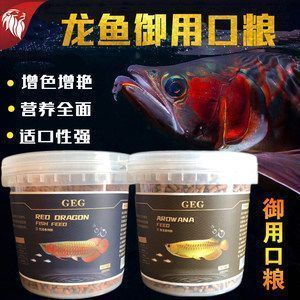 龍魚食物怎么消毒：龍魚食物消毒方法