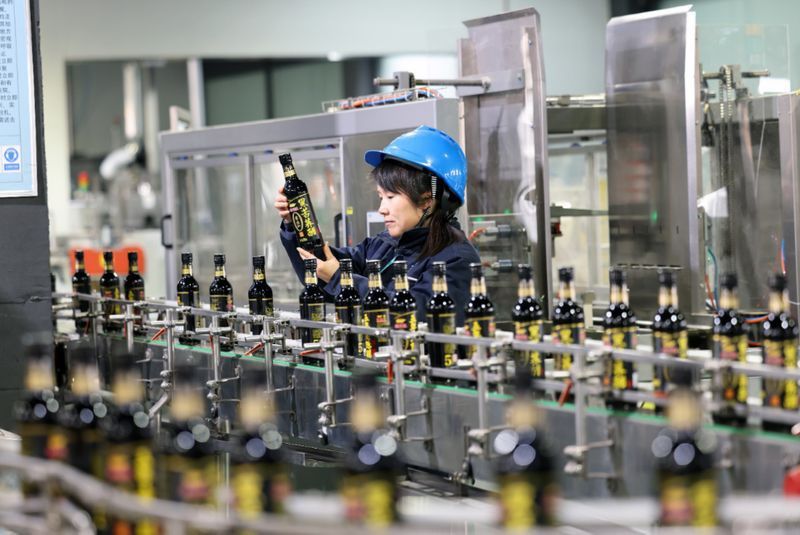 金龍魚漁場2024年最新消息