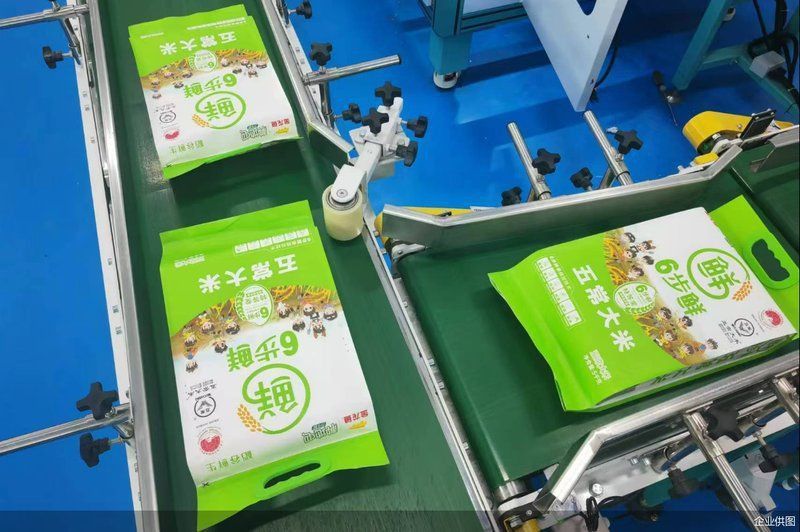 金龍魚漁場2024年最新消息