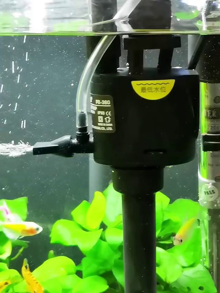 推薦幾款適合養龍魚的過濾器