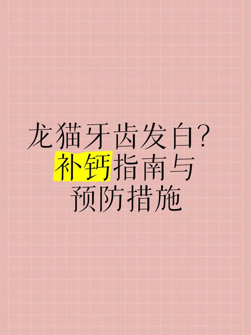 如何判斷龍貓是否缺鈣？