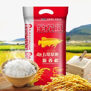 紅龍魚(yú)死了有什么預(yù)兆（紅龍魚(yú)死了有什么預(yù)兆嗎） 紅龍魚(yú)死了有什么預(yù)兆（紅龍魚(yú)死了有什么預(yù)兆嗎） 龍魚(yú)百科