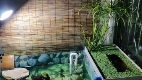 魚缸上水改造（魚缸上水改造方法）