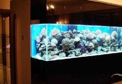 魚缸上水改造（魚缸上水改造方法）