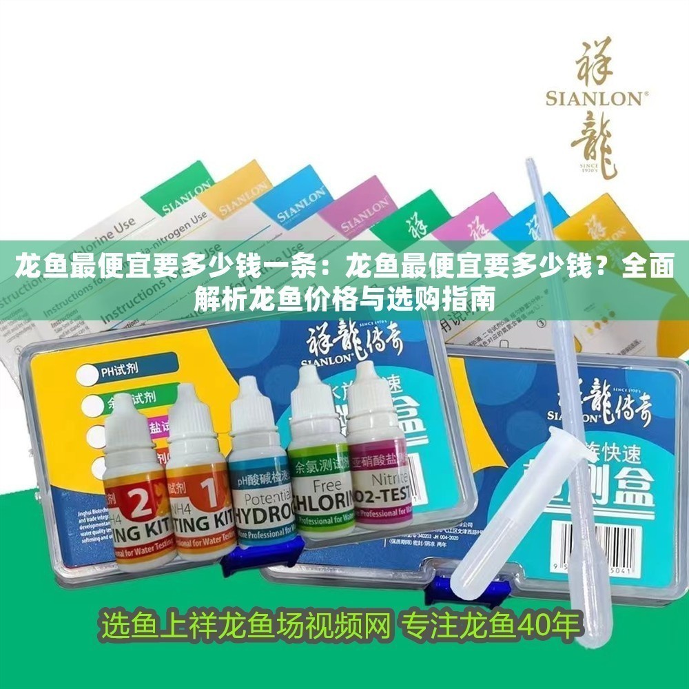 龍魚最便宜要多少錢一條：龍魚最便宜要多少錢？全面解析龍魚價格與選購指南