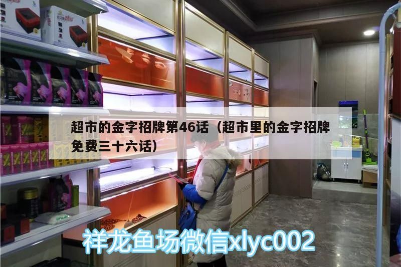 超市的金字招牌第46話（超市里的金字招牌免費三十六話）