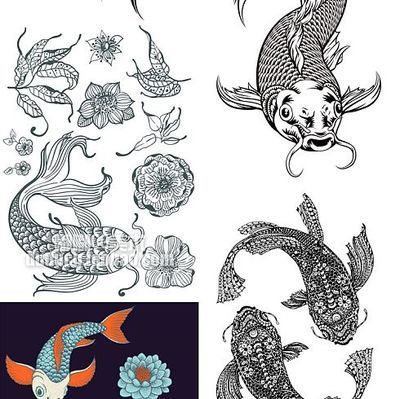 龍魚的書（《龍魚/觀賞魚文化鑒賞飼養珍藏叢書》）