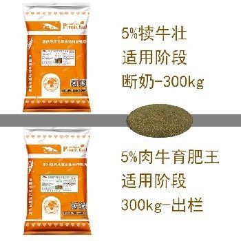 龍魚晚上關(guān)燈嗎：龍魚在晚上需要關(guān)燈嗎？