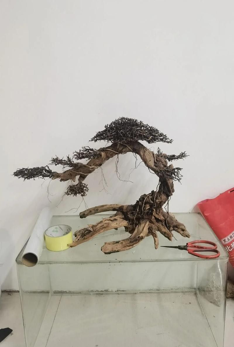 龍魚沉木造景圖片大全