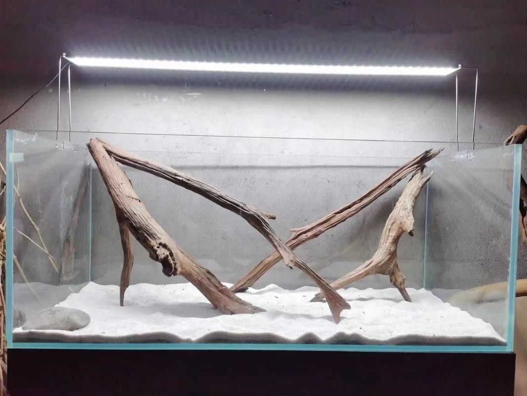 龍魚沉木造景圖片大全