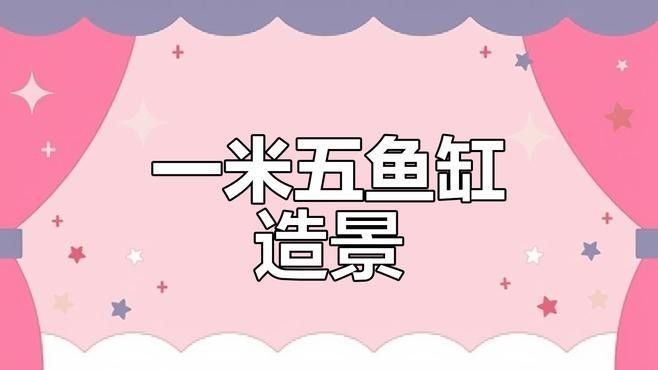 龍魚沉木造景圖片大全