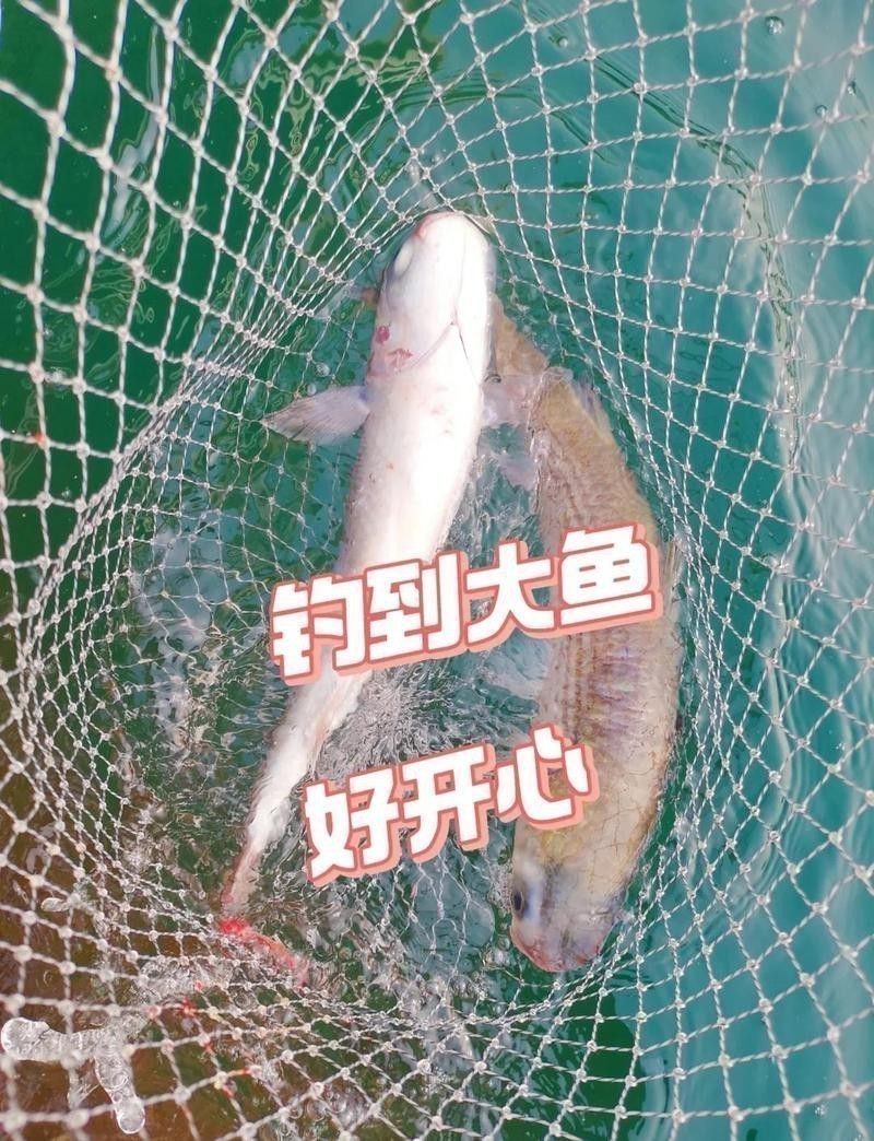 哈爾濱龍魚灣垂釣園怎么樣呀收費嗎