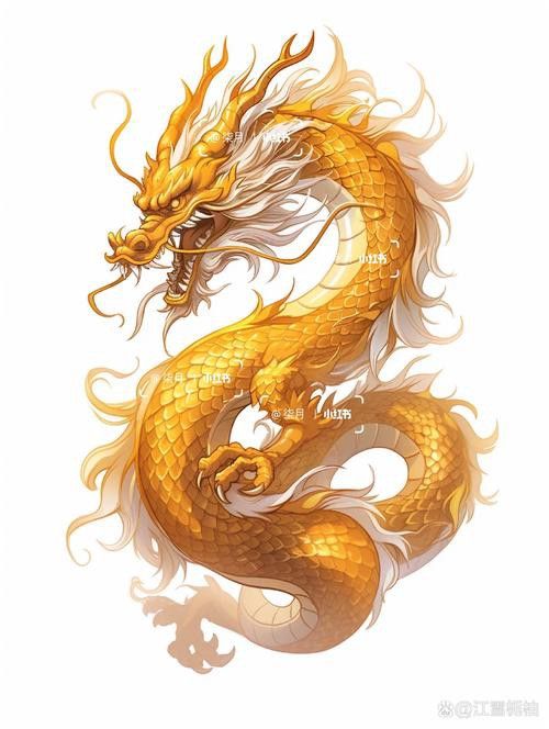 推薦一些高清的招財金龍圖片