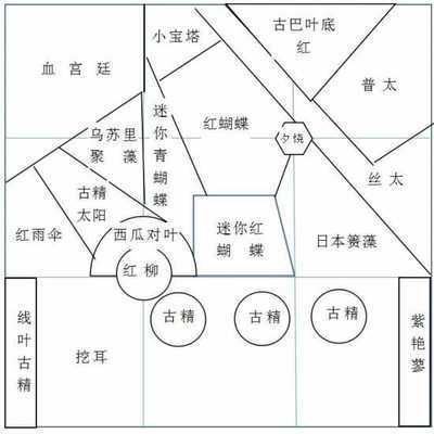龍魚吃啥好：觀賞魚中的一種肉食性動(dòng)物，龍魚的養(yǎng)護(hù)需要注意以下幾點(diǎn)